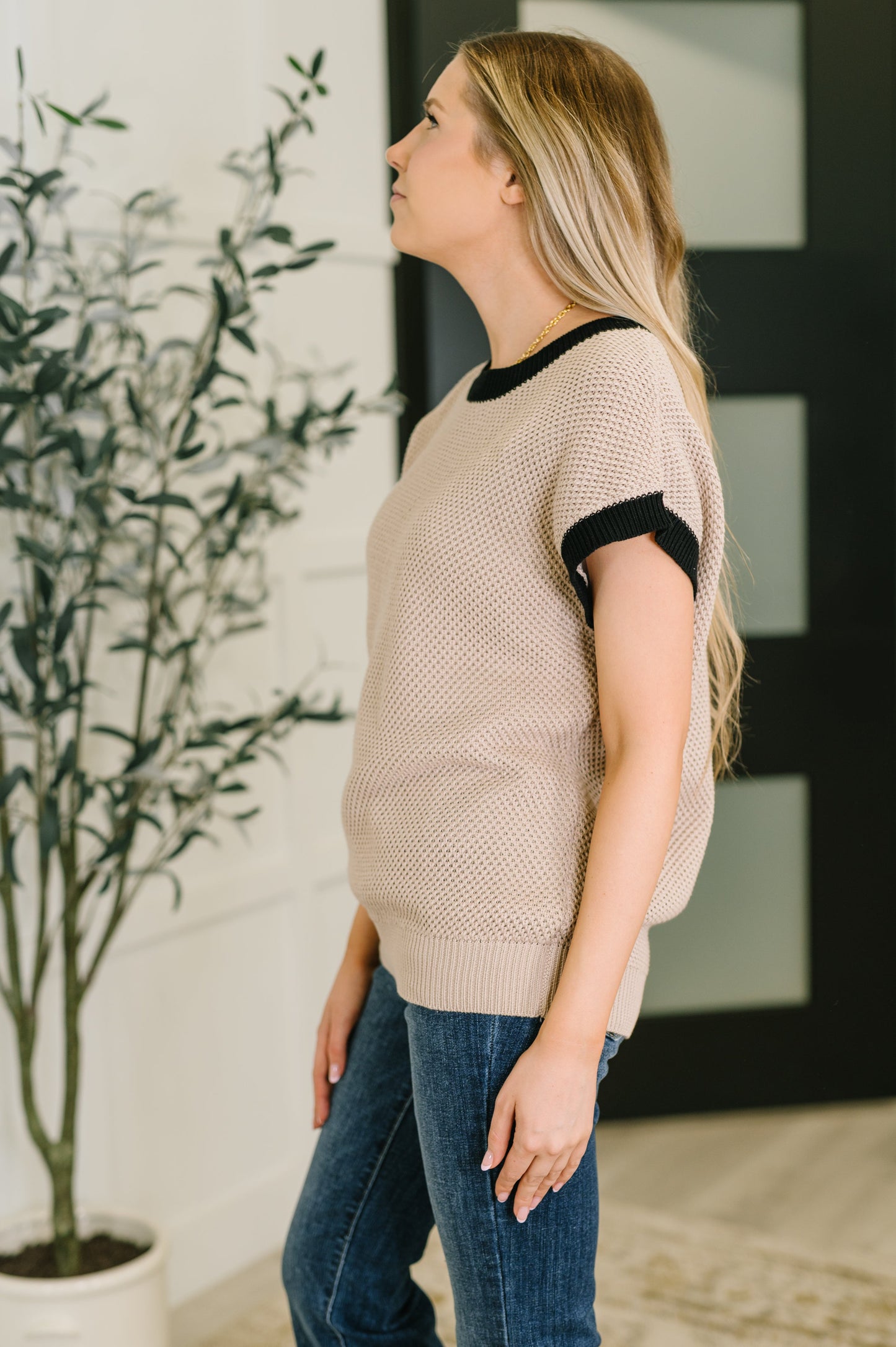 Sure Seems Sweet Contrast Trim Short Sleeve Sweater