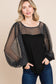 Metallic Mesh Lantern Sleeve Blouse