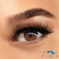 Day Lash Everylash Magnetic Lashes Everylash